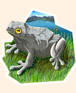 granite frog
